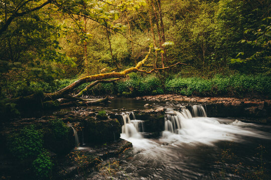 Lynn Glen, Caaf Water, Dalry, North Ayrshire, Scotland, UK
