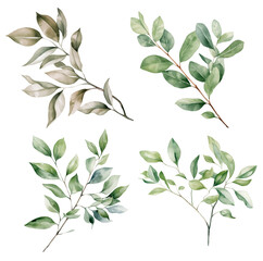 Set of Watercolor Green Branches.