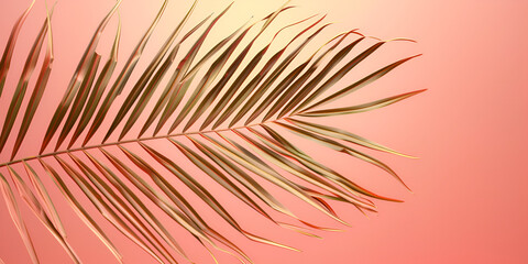 Palm leaves and soft gradient shadow empty wall with copy space minimal backdrop pastel color palm leaves and soft gradient shadow pink leaf background