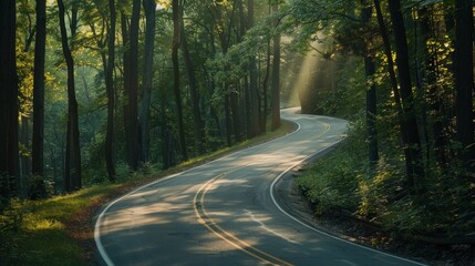 Obraz premium Early morning sun shines on curvy asphalt road through dense woods