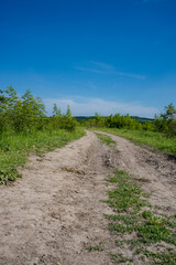 Dirt farm road through country side.