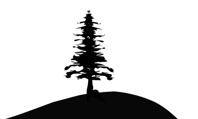silhouette of tree on top of small hill