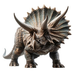 Fototapeta premium A Triceratops dinosaur on a transparent background. This depiction shows the dinosaur in a dynamic stance