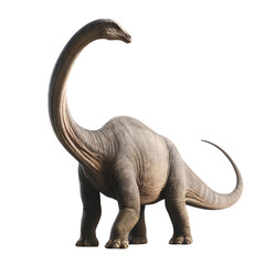 Obraz premium Brachiosaurus dinosaur on a transparent background. This long-necked dinosaur is depicted in a natural standing pose