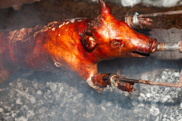 A young pig is roasted on a spit over coals.