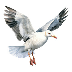 Seagull, Bird Illustration. Watercolor Style. AI Generated