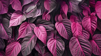 pink and dark leafs pattern, background, wallpaper