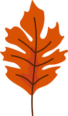 Obraz premium autumn leaf illustration