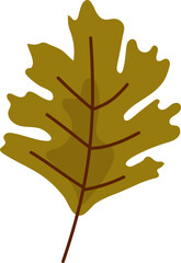 Fototapeta premium autumn leaf illustration