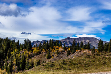 Obraz premium A drive through Clearwater County Alberta Canada