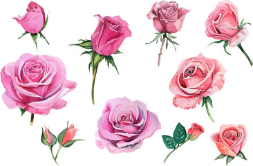 seamless pattern of roses