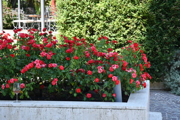 giardino artistico e curato nel comune di Benevento