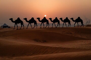 Camel caravan going through the desert at sunset