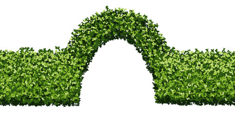 Green hedge with arch gate of boxwood bushes in the form of a seamless endless pattern. Arc made of plants with leaf texture. Vector illustration isolated from background. Evergreen bg.
