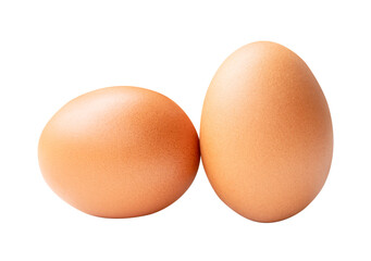 Front view of two brown chicken eggs isolated with clipping path in png file format