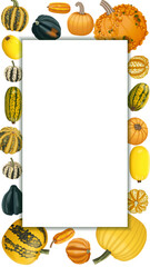 Vertical banner with types of winter squash. Cucurbita pepo. Cucurbitaceae. Fruits and vegetables. Isolated vector illustration. Template.