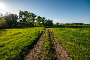 a country road in a field of green grass at sunset
