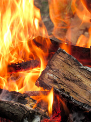 Maderas en llamas