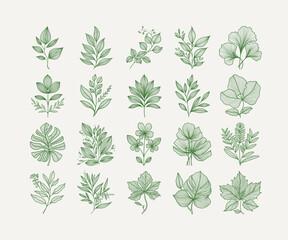 Green Botanical Clipart Vector Collection