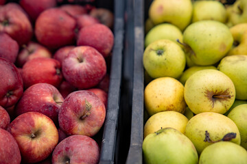 Red and yellow apples in the crate.