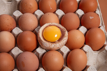 fungus, gourmet, cut out, isolated, clipping path, mushroom, white background, edible, cultivation, vegetable, delicious, brown, piece, nutrition, medicinal mushroom, asian, traditional medicine, miso