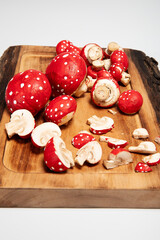 fungus, gourmet, cut out, isolated, clipping path, mushroom, white background, edible, cultivation, vegetable, delicious, brown, piece, nutrition, medicinal mushroom, asian, traditional medicine, miso