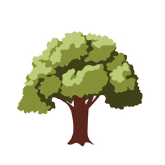 Cartoon tree illustration, tree vector image isolated