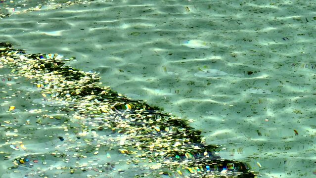La fontana di Trevi durante la raccolta delle monete lanciate dai turisti a Roma.
Operai recuperano le monete lanciate dentro la fontana dai turisti in visita a Roma, Italia. 