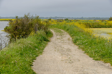 La Réserve naturelle nationale de Lilleau des Niges, Ile de Ré