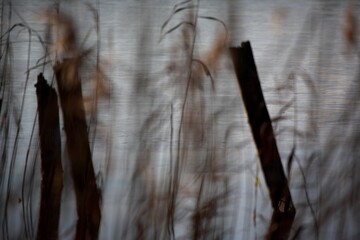 Obraz premium Jezioro