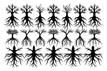 Set of tree roots Silhouette Design with white Background and Vector Illustration