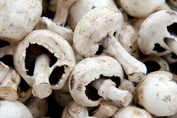 Fresh mushrooms on a counter in an open marketplace, close view.