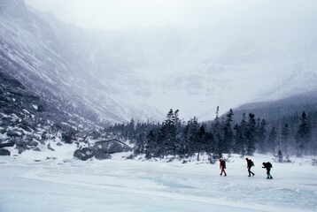 Hikers In A Valley