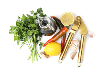 Different fresh ingredients for marinade and garlic press on white background, top view