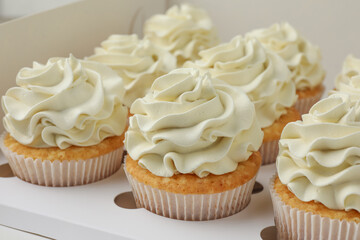 Tasty cupcakes with vanilla cream in box, closeup
