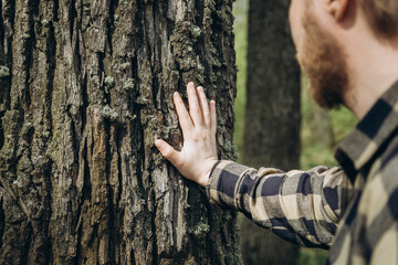 Man hand touches a pine tree trunk, close-up, wild forest travel.