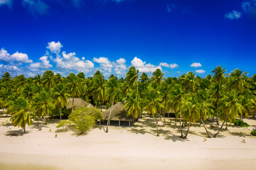 Tropical Caribbean beach, Dominican Republic