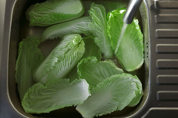 Pouring tap water on Chinese cabbage leaves in sink, top view