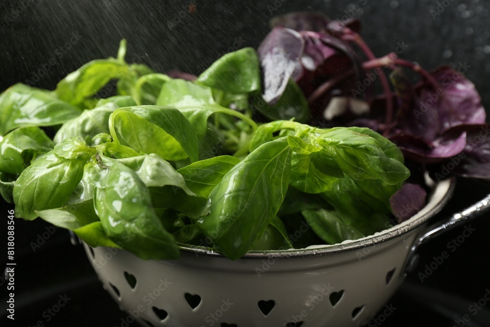 Wall mural washing different fresh basil leaves under tap water in metal colander in sink, closeup