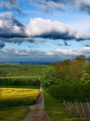 Fr&uuml;hlingslandschaft