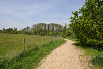 green countryside fields with gravel track. peaceful walking location