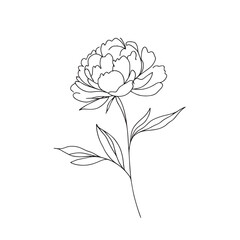  peony in one line art drawing style. Vector illustration
