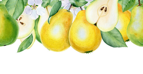 Seamless border with watercolor pears.
