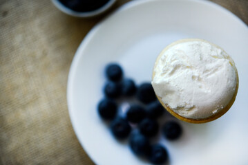 Creamy ice cream and blueberries on a white plate. Blueberry ice cream.