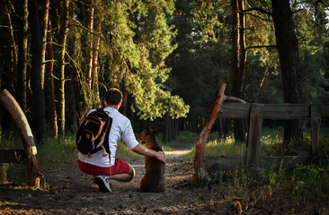 a leisurely walk through the forest with a dog