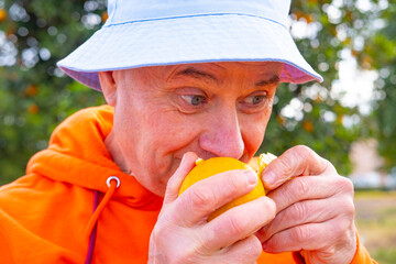 farmer's male hand gently places handful freshly picked oranges onto vibrant orange tree,...