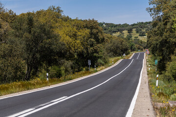 lonely road through the forest, near Cala -Sierra de Los Gabrieles-, Huelva, Andalucia, Spain