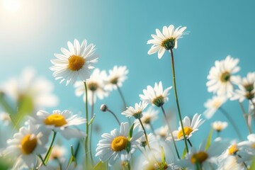 A beautiful, sun-drenched spring summer meadow. Natural colorful panoramic landscape with many wild flowers of daisies against blue sky. A frame with soft selective focus with generative ai