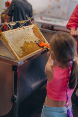 Girl Use beekeeping tools to open wax cells filled with the finished product.