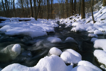 Winter Stream